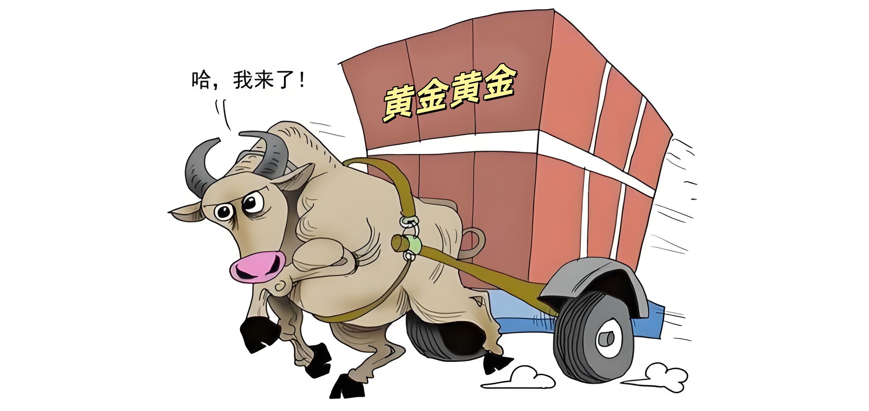 曹向阳：注意 金价将测试此位支撑