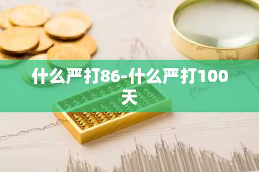 什么严打86-什么严打100天