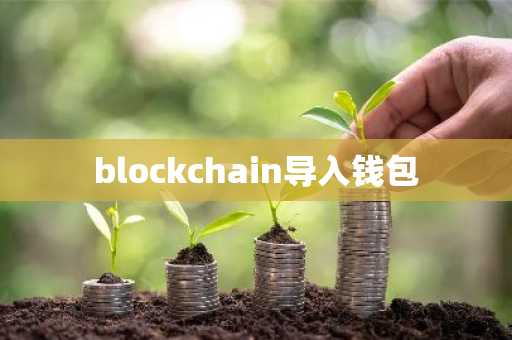 blockchain导入钱包