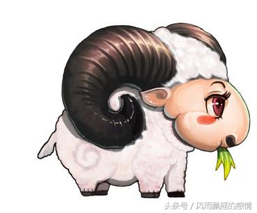 1979属羊最佳配对（1979属羊最佳配对鸡好不好）