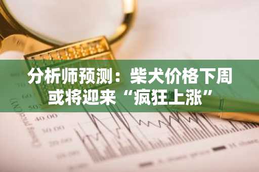 分析师预测：柴犬价格下周或将迎来“疯狂上涨”