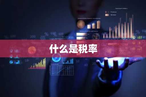 什么是税率