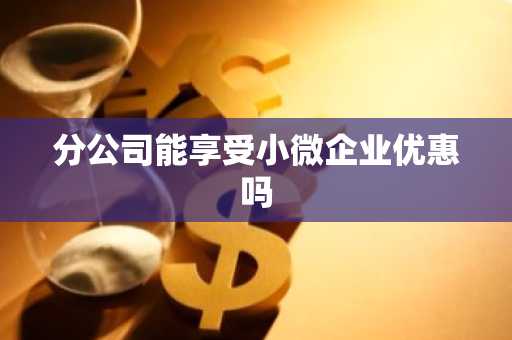 分公司能享受小微企业优惠吗