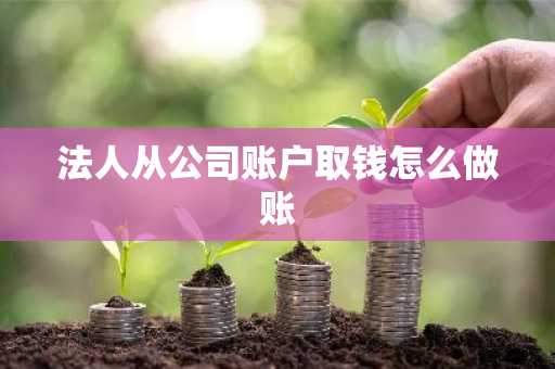 法人从公司账户取钱怎么做账