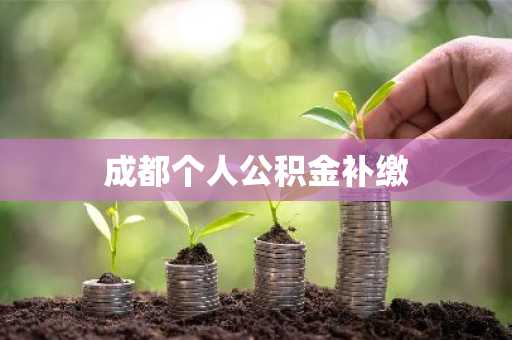 成都个人公积金补缴