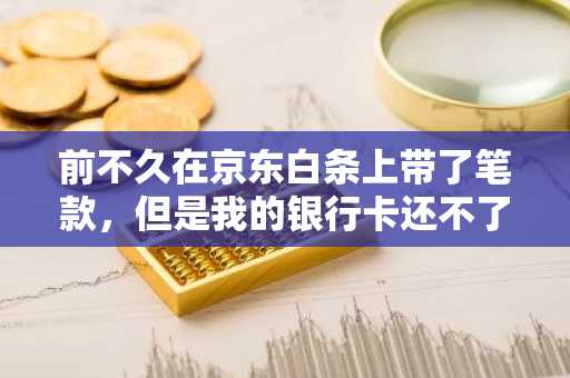 前不久在京东白条上带了笔款，但是我的银行卡还不了钱，京东白条还款都支持什么银行卡？