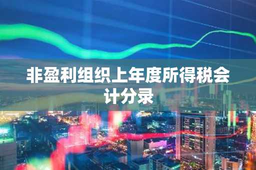 非盈利组织上年度所得税会计分录