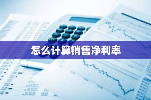 怎么计算销售净利率