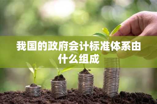 我国的政府会计标准体系由什么组成