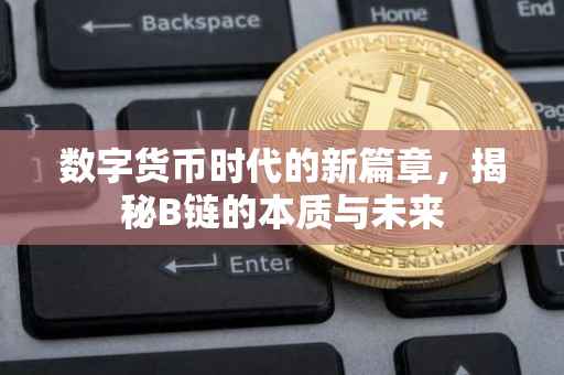 数字货币时代的新篇章，揭秘B链的本质与未来