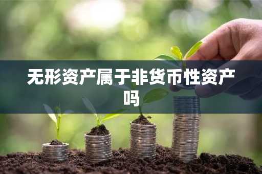 无形资产属于非货币性资产吗