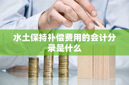 水土保持补偿费用的会计分录是什么