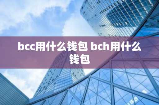 bcc用什么钱包 bch用什么钱包
