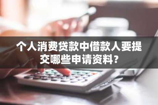 个人消费贷款中借款人要提交哪些申请资料？