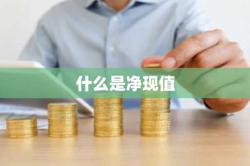 什么是净现值