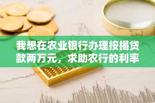 我想在农业银行办理按揭贷款两万元，求助农行的利率？