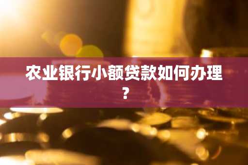 农业银行小额贷款如何办理？