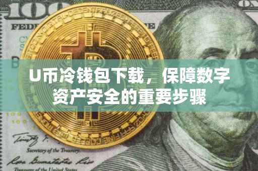 U币冷钱包下载，保障数字资产安全的重要步骤