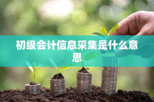初级会计信息采集是什么意思