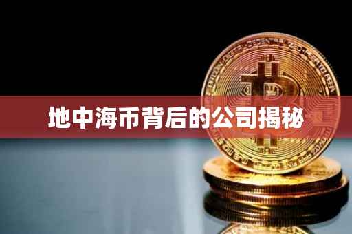 地中海币背后的公司揭秘