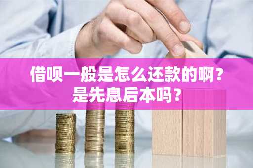 借呗一般是怎么还款的啊？是先息后本吗？