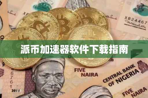 派币加速器软件下载指南