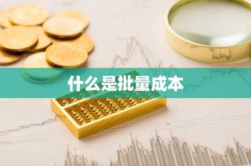 什么是批量成本
