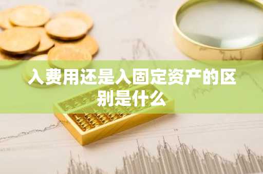 入费用还是入固定资产的区别是什么
