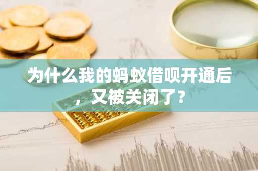 为什么我的蚂蚁借呗开通后，又被关闭了？