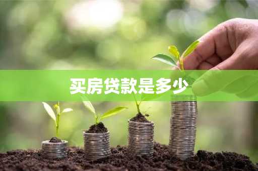 买房贷款是多少