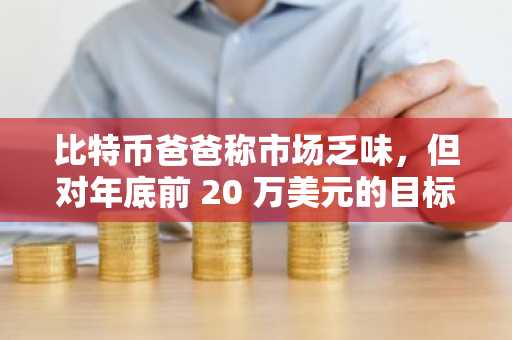 比特币爸爸称市场乏味，但对年底前 20 万美元的目标持乐观态度