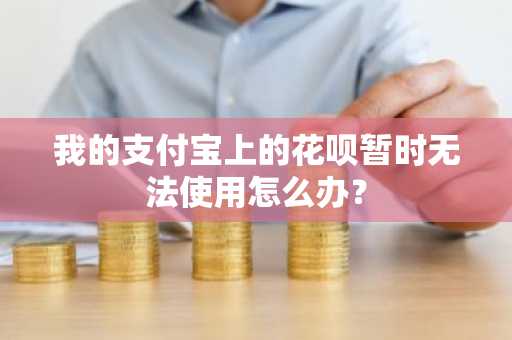 我的支付宝上的花呗暂时无法使用怎么办？