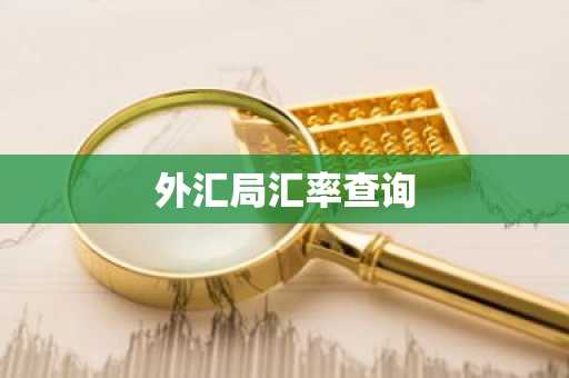 外汇局汇率查询