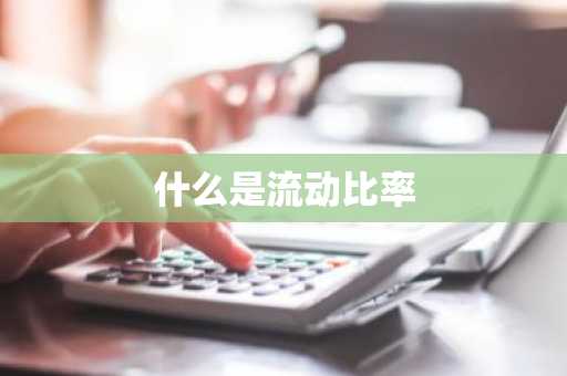 什么是流动比率