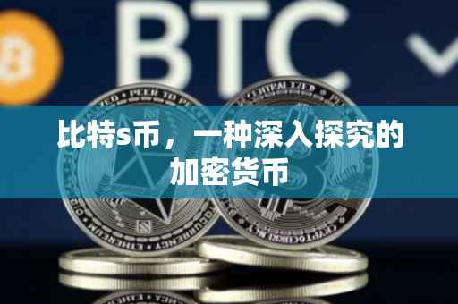 比特s币，一种深入探究的加密货币