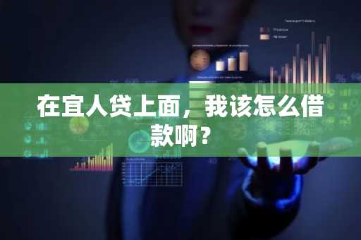 在宜人贷上面，我该怎么借款啊？