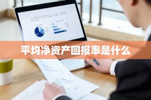 平均净资产回报率是什么