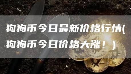 狗狗币今日最新价格行情 - 狗狗币今日价格大涨！