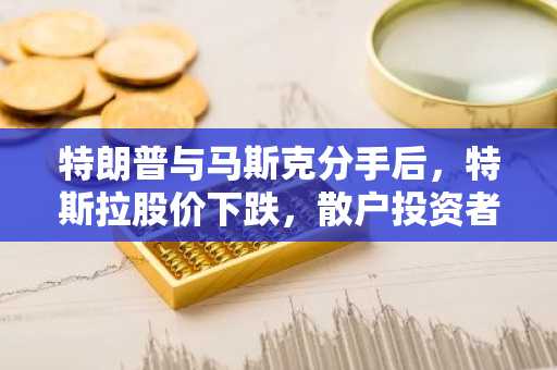 特朗普与马斯克分手后，特斯拉股价下跌，散户投资者纷纷买入