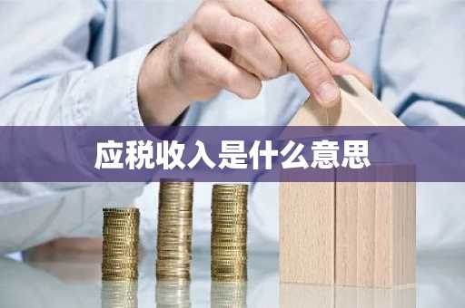 应税收入是什么意思
