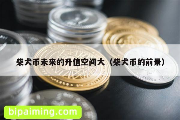 柴犬币未来的升值空间大（柴犬币的前景）