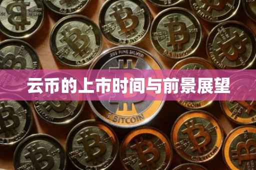 云币的上市时间与前景展望