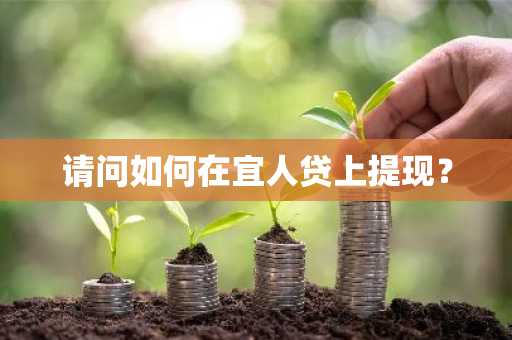 请问如何在宜人贷上提现？