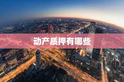 动产质押有哪些