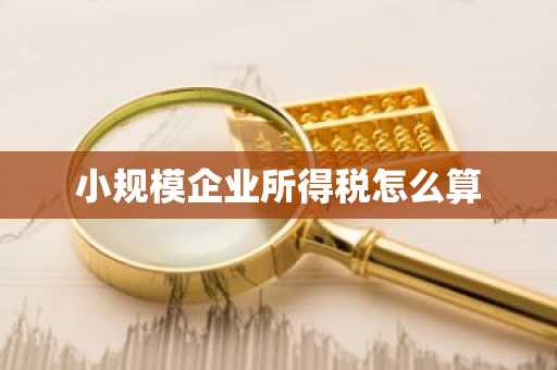 小规模企业所得税怎么算