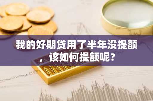 我的好期贷用了半年没提额，该如何提额呢？