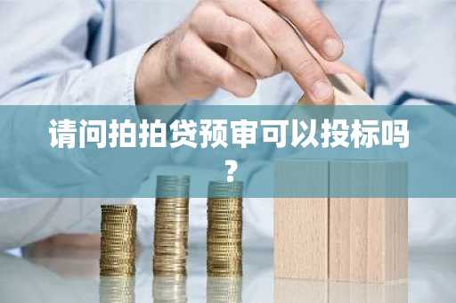 请问拍拍贷预审可以投标吗？