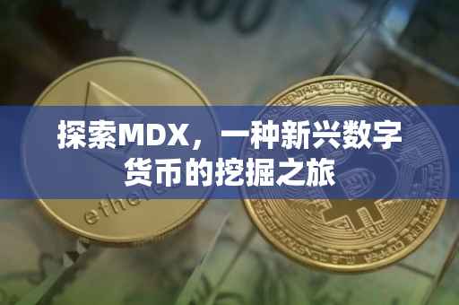 探索MDX，一种新兴数字货币的挖掘之旅