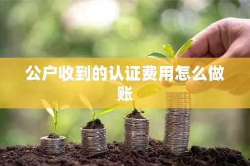 公户收到的认证费用怎么做账