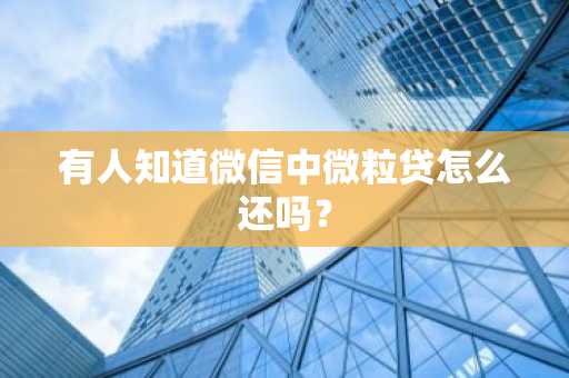 有人知道微信中微粒贷怎么还吗？